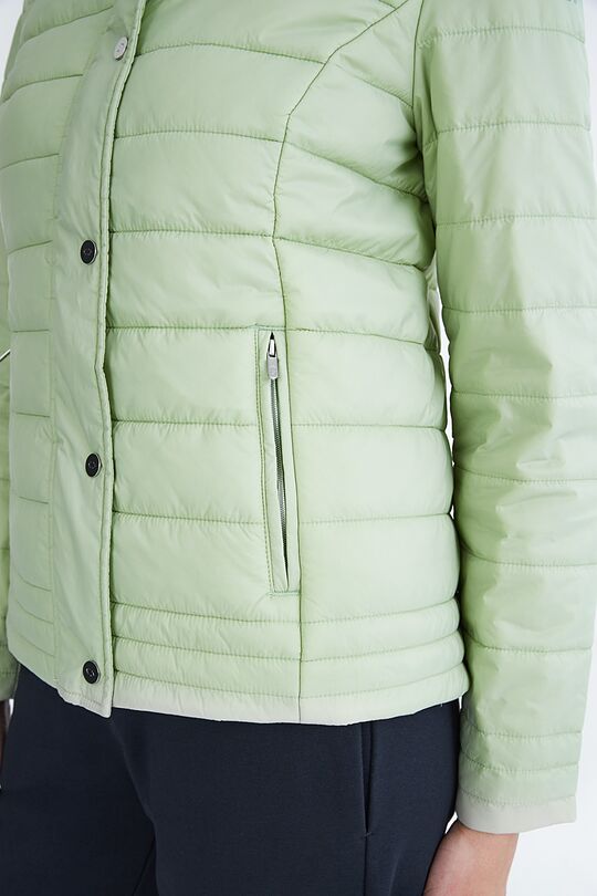 Short transitional jacket 5 | GREEN | Audimas