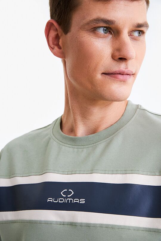 Cotton t-shirt 2 | GREEN/ KHAKI / LIME GREEN | Audimas