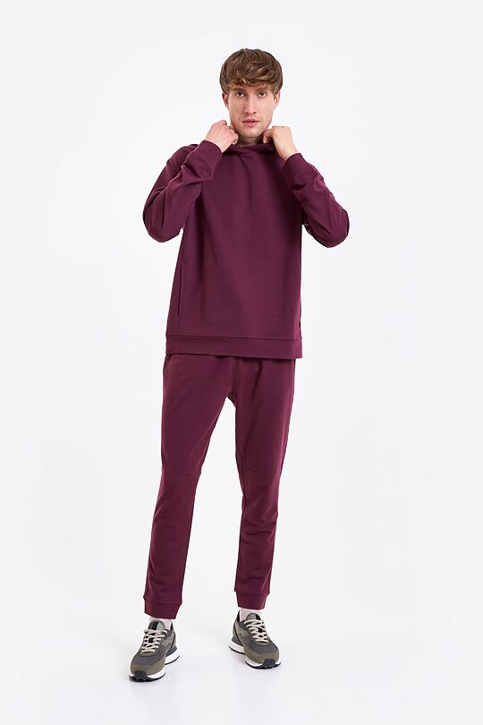 Merino wool hoodie 4 | BORDO | Audimas