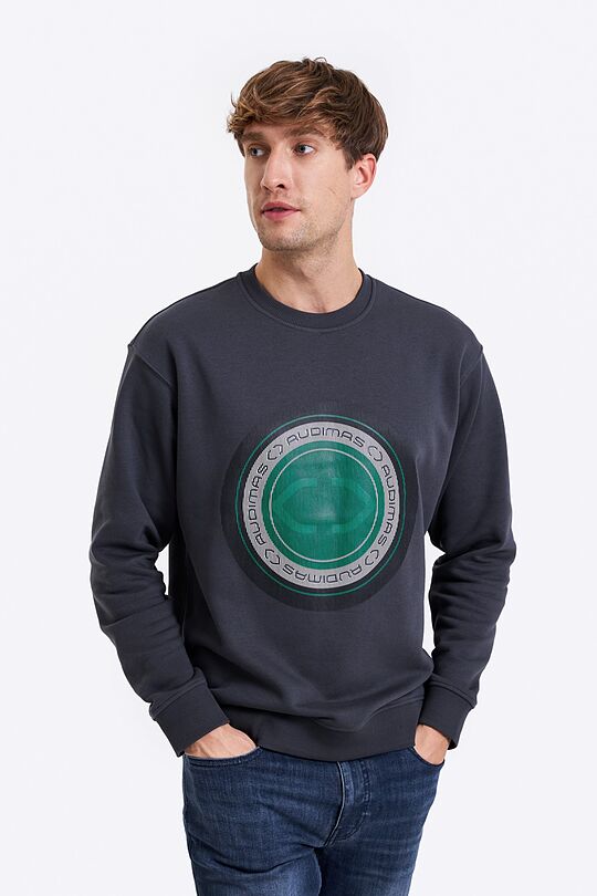 Printed cotton sweatshirt 1 | GREY | Audimas
