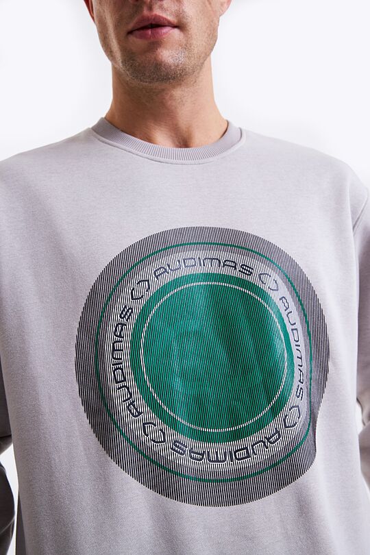 Printed cotton sweatshirt 3 | GREY | Audimas