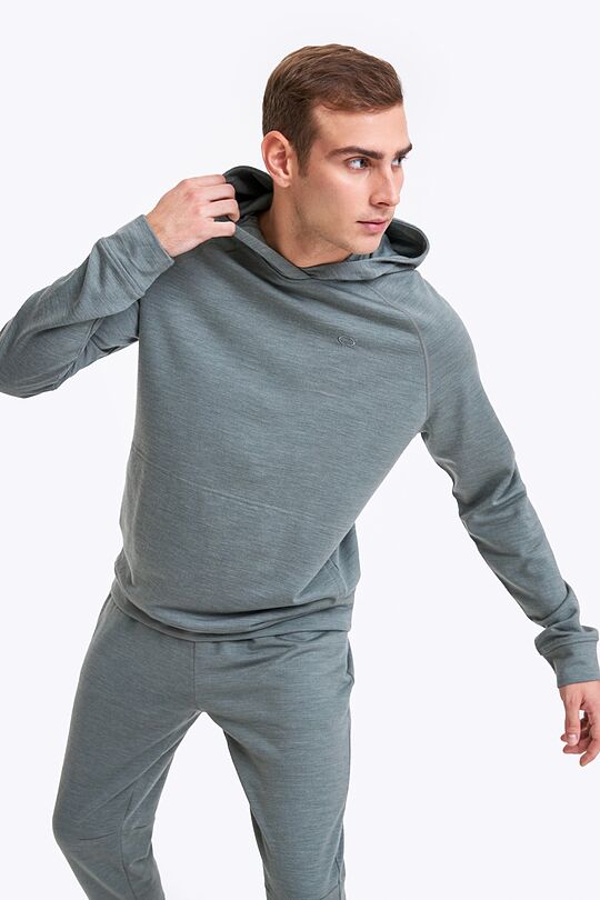 Merino wool hoodie 1 | GREEN | Audimas