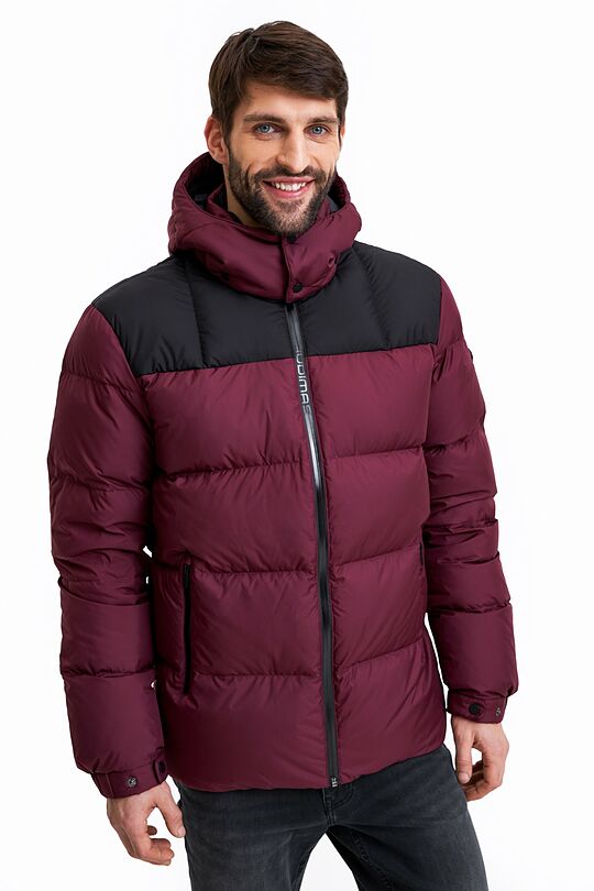 Short puffer down jacket 1 | BURGUND | Audimas