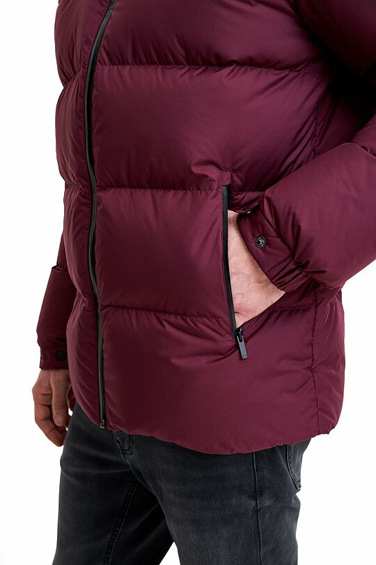Short puffer down jacket 5 | BURGUND | Audimas