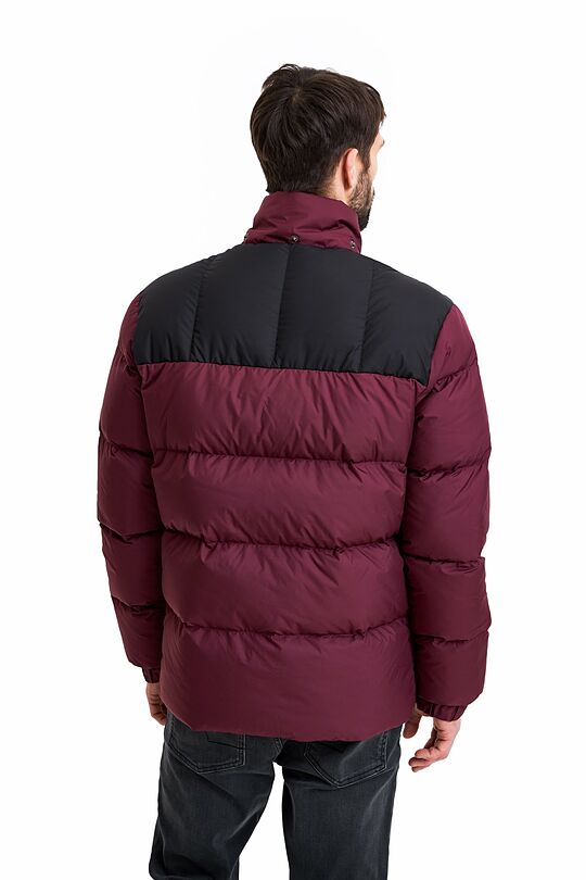 Short puffer down jacket 7 | BURGUND | Audimas