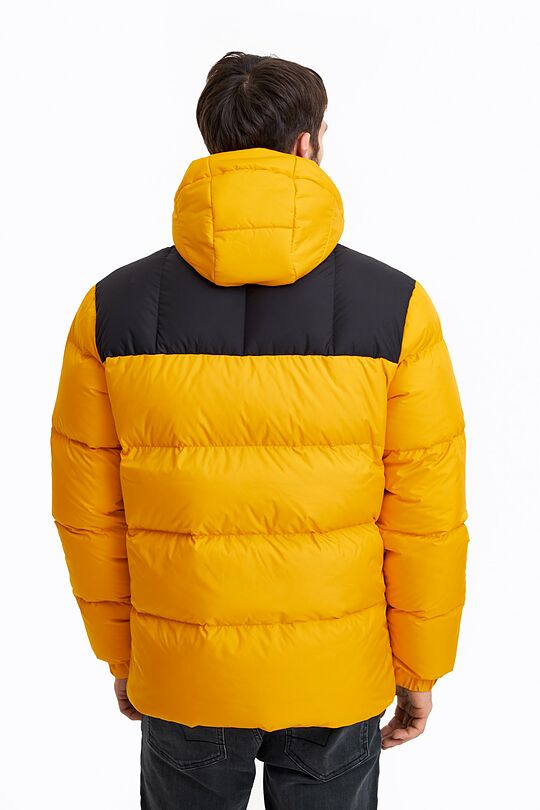 Short puffer down jacket 2 | YELLOW/ORANGE | Audimas