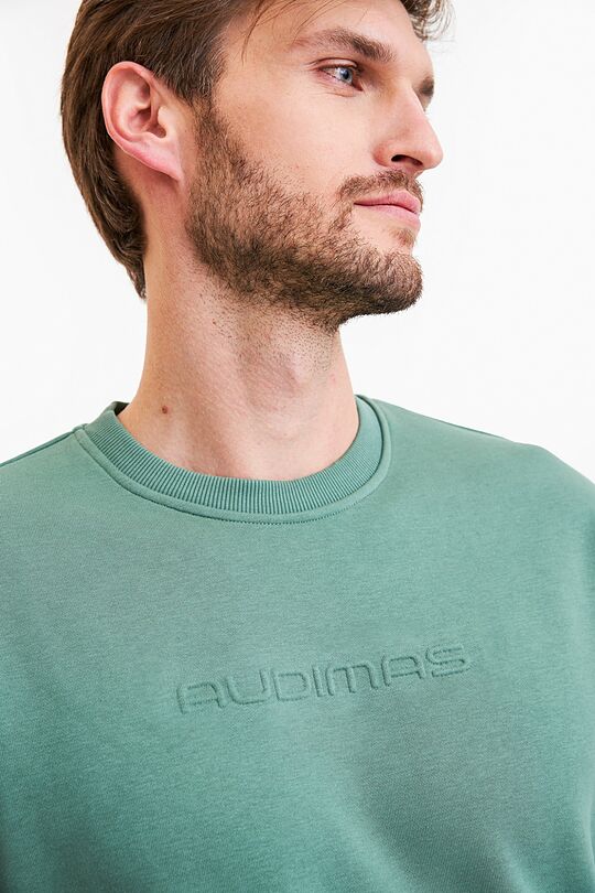 Sweatshirt 2 | GREEN | Audimas