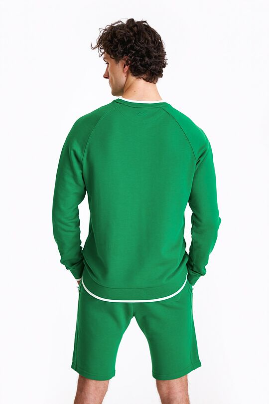 Retro style sweatshirt 2 | GREEN | Audimas
