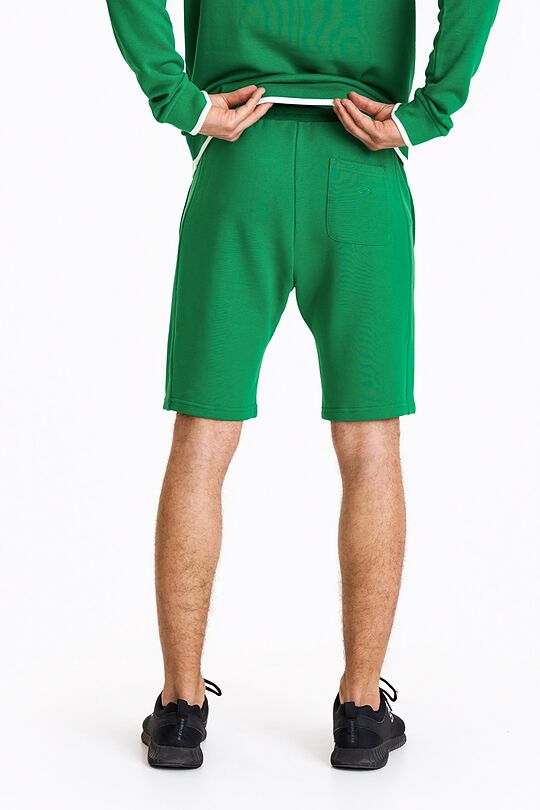 Retro style sweatshorts 4 | GREEN | Audimas