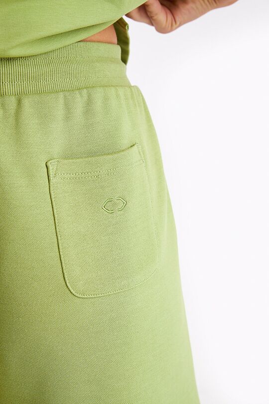 Retro style sweatshorts 5 | GREEN | Audimas