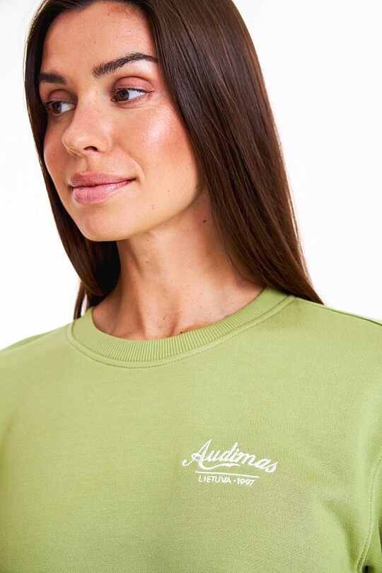 Retro style sweatshirt 2 | GREEN | Audimas