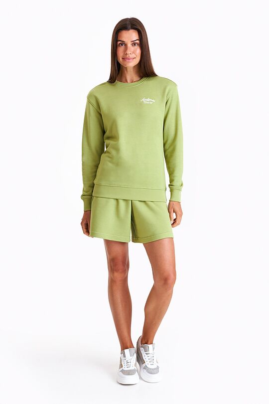 Retro style sweatshirt 4 | GREEN | Audimas