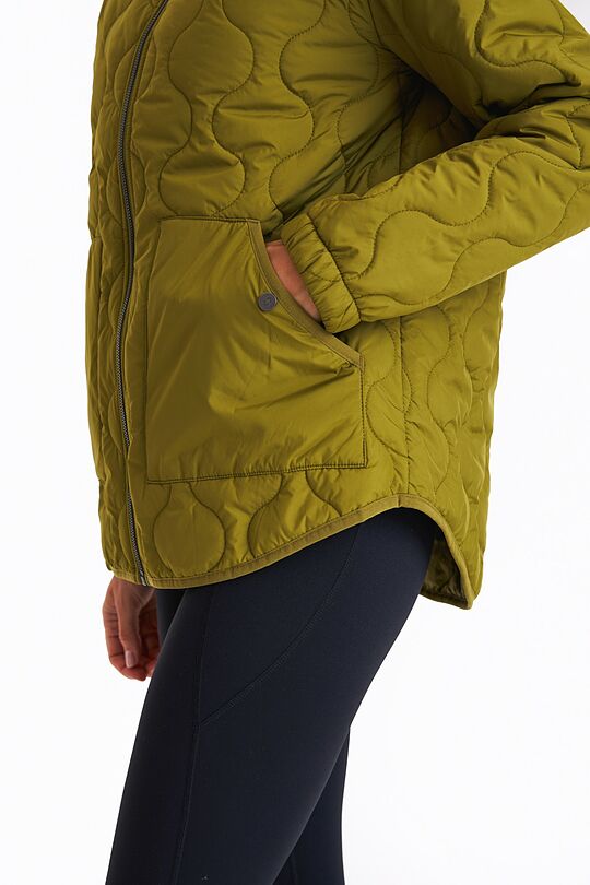 Short quilted transitional jacket 6 | GREEN | Audimas