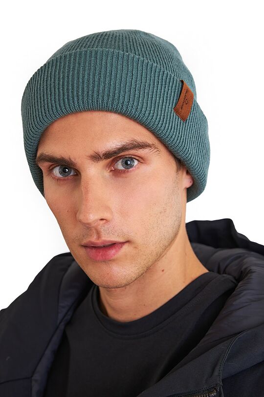 Merino fisherman beanie 3 | GREEN | Audimas