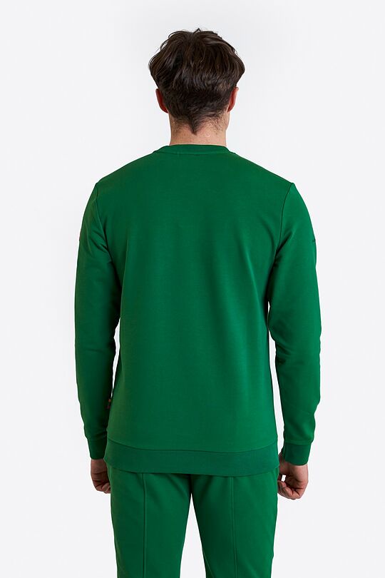 National collection embroidered  sweatshirt 2 | GREEN | Audimas