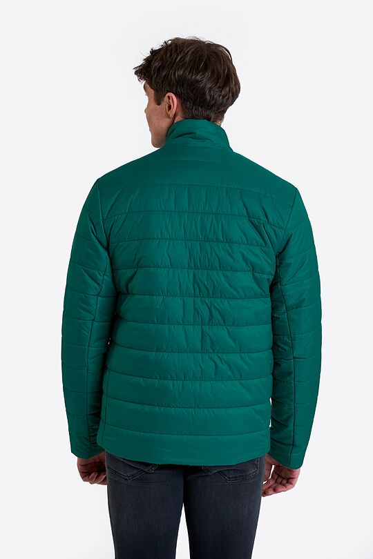 Light transitional jacket with Thermore insulation 2 | GREEN | Audimas