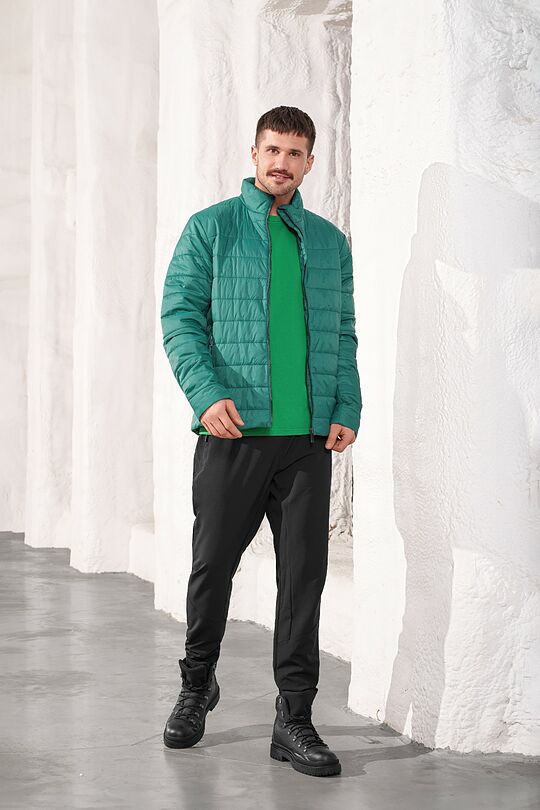 Light transitional jacket with Thermore insulation 5 | GREEN | Audimas