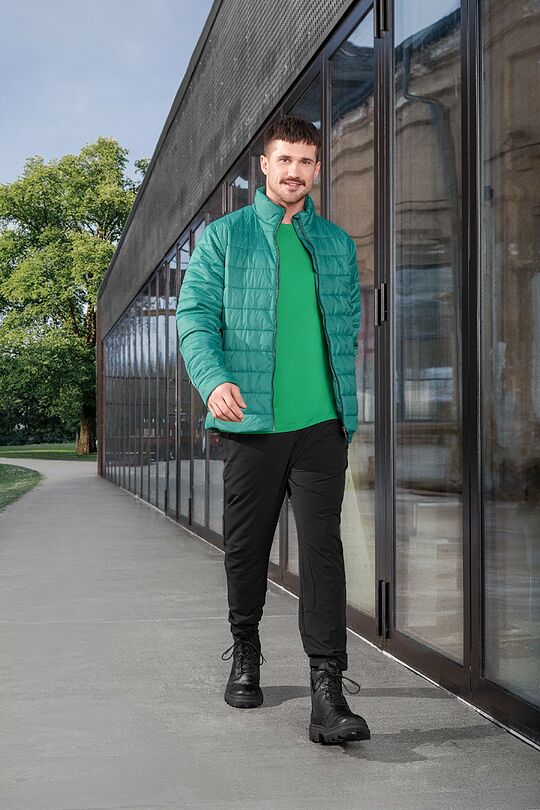 Light transitional jacket with Thermore insulation 6 | GREEN | Audimas