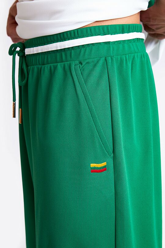 National collection sports shorts 5 | GREEN | Audimas