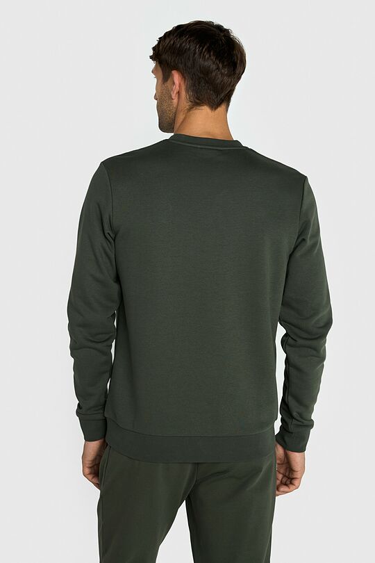 Cotton French terry crewneck sweatshirt 2 | GREEN | Audimas