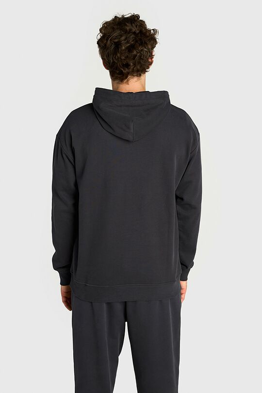Cotton French terry hoodie 2 | GREY | Audimas