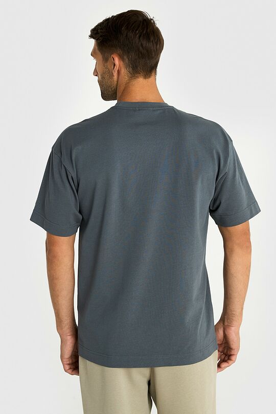 Short sleeves cotton T-shirt Nation of Basketball 4 | GREY | Audimas