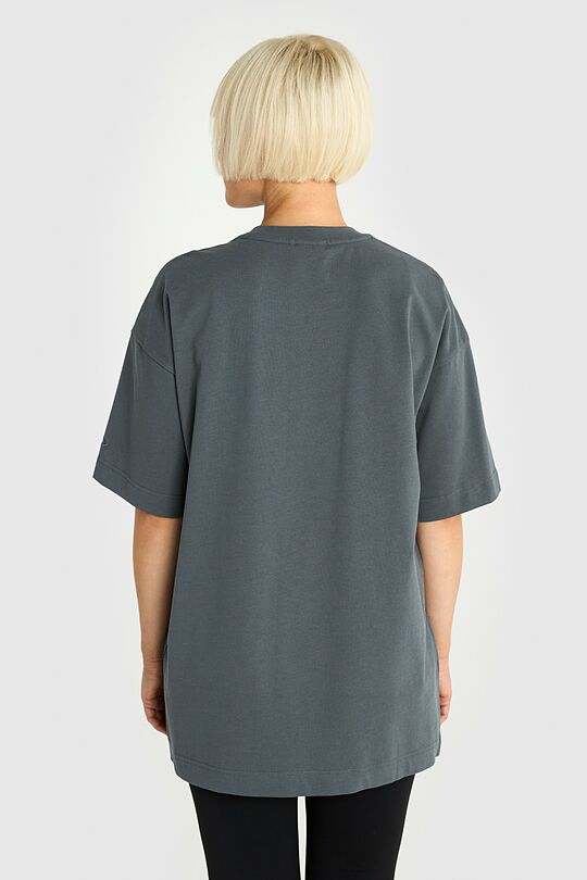 Short sleeves cotton T-shirt Control the Court! 4 | GREY | Audimas