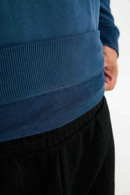 Cotton French terry hoodie 4 | BLUE | Audimas