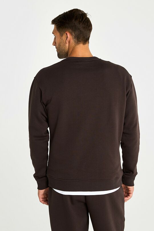 Cotton fleece crewneck sweatshirt 2 | BROWN | Audimas