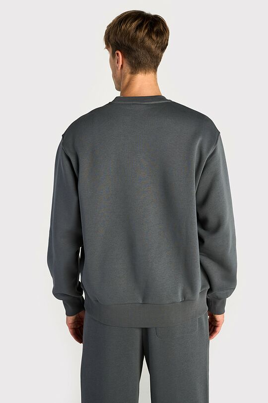 Oversized cotton fleece sweatshirt 2 | GREY | Audimas