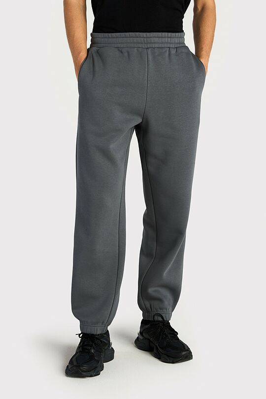 Oversized cotton fleece sweatpants 2 | GREY | Audimas