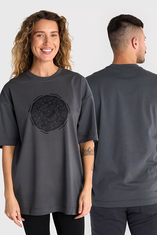 Short sleeves cotton T-shirt "Twelve raven brothers" 1 | GREY | Audimas