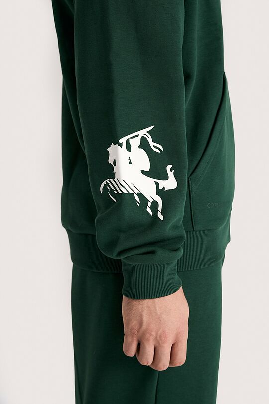 National collection full-zip hoodie 6 | GREEN | Audimas