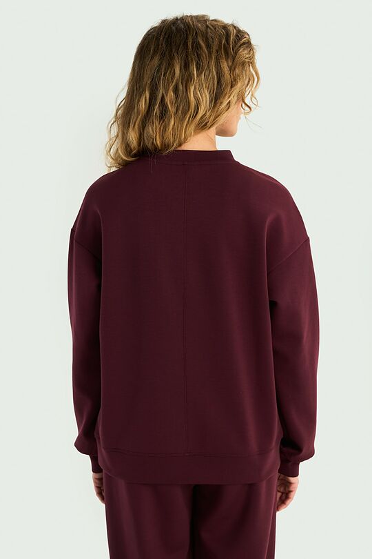 Crewneck sweatshirt with lyocell 2 | PURPLE | Audimas