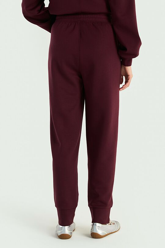Sweatpants with lyocell 3 | PURPLE | Audimas