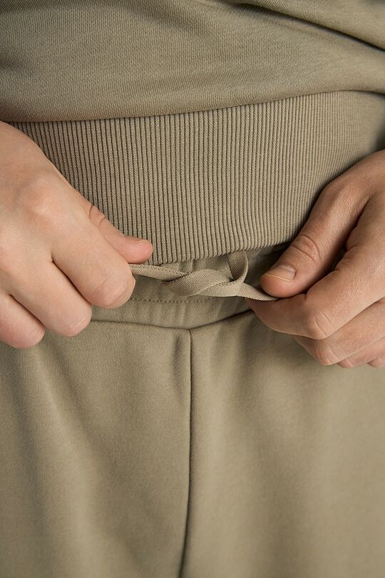 National collection cotton sweatshorts 4 | BROWN | Audimas