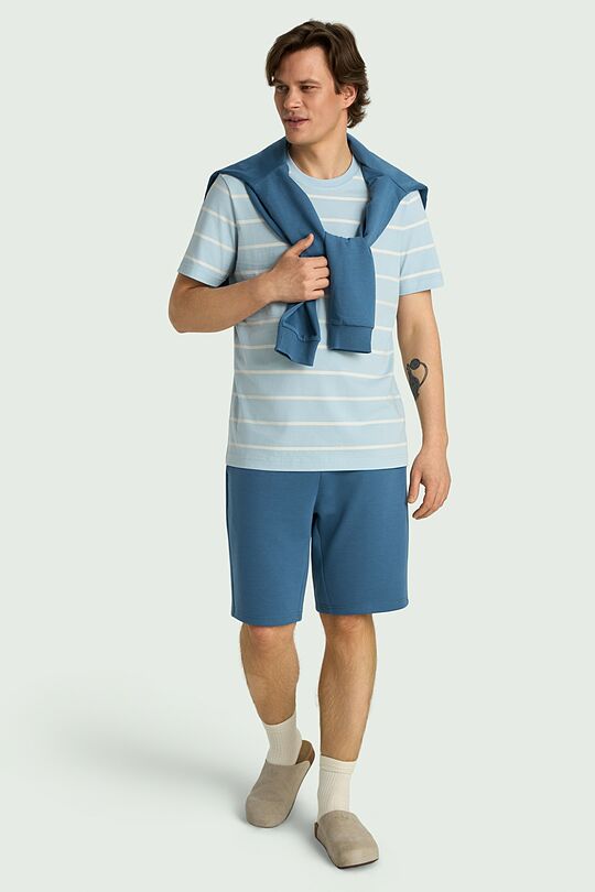 Striped T-shirt 1 | BLUE | Audimas