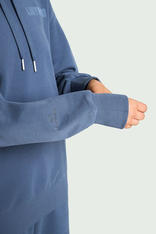 National collection cotton hoodie 3 | BLUE | Audimas