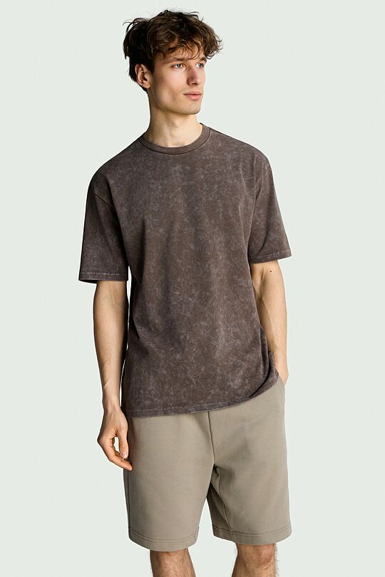 Vintage look short sleeve T-shirt 3 | BROWN | Audimas