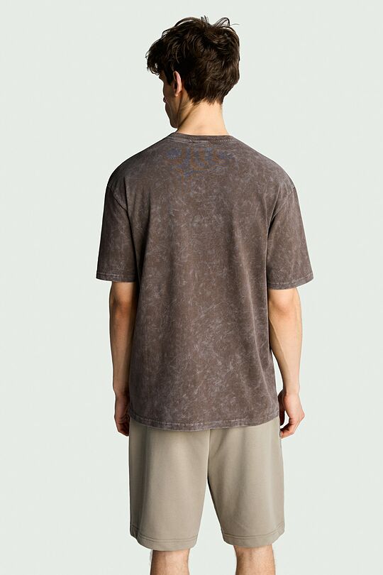 Vintage look short sleeve T-shirt 2 | BROWN | Audimas