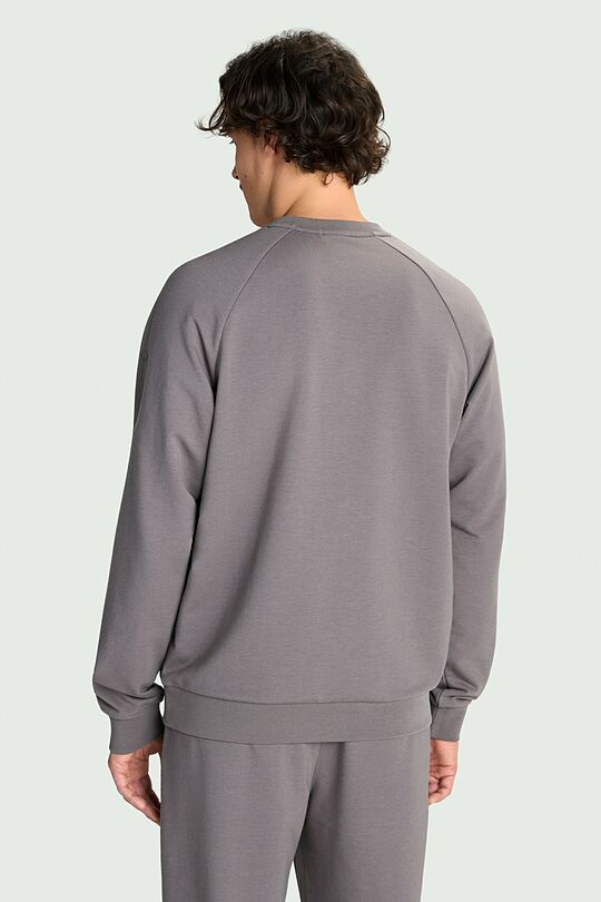 Crewneck sweatshirt 2 | GREY | Audimas