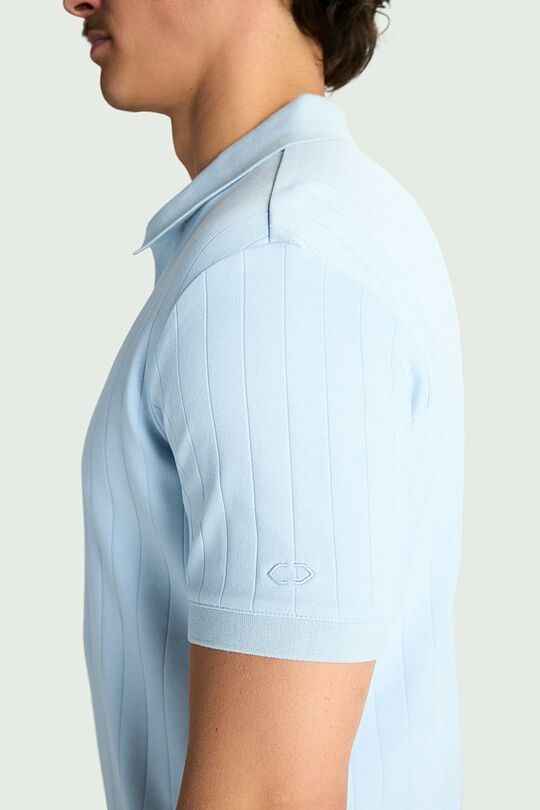 Textured cotton polo T-shirt 2 | BLUE | Audimas