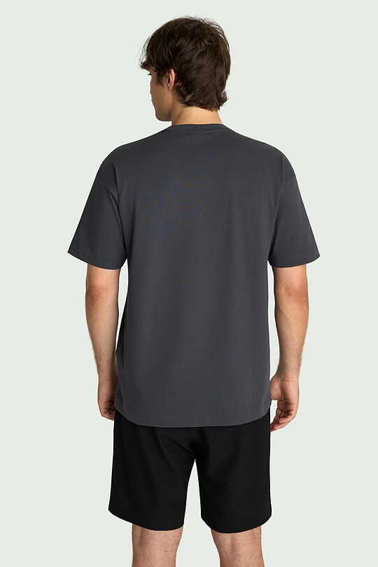 Cotton T-shirt "Grass Snake" 3 | GREY | Audimas