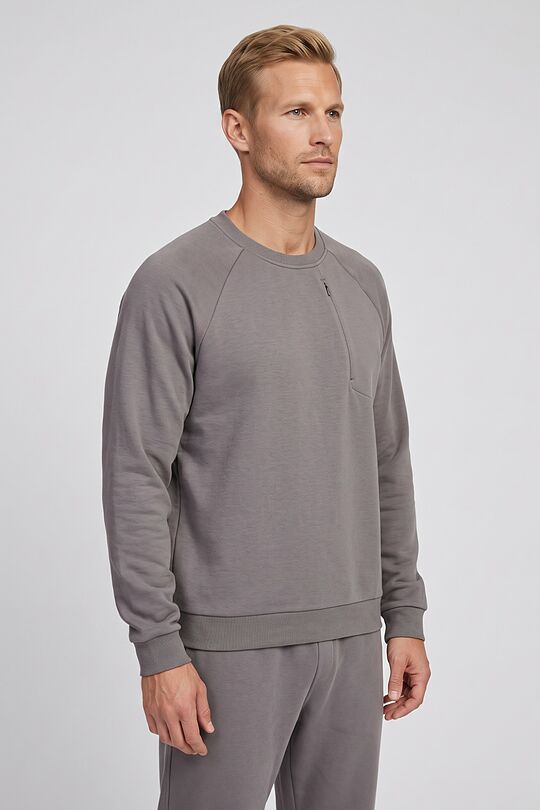 Crewneck sweatshirt 1 | GREY | Audimas
