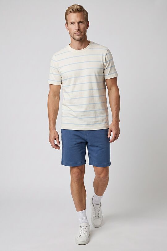 Cotton sweatshorts 1 | Dark blue | Audimas
