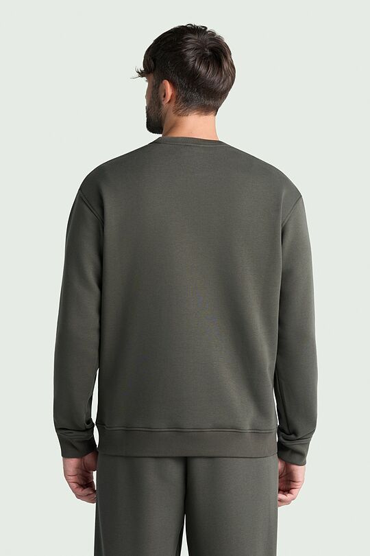 Cotton fleece crewneck sweatshirt 2 | CHAKI | Audimas