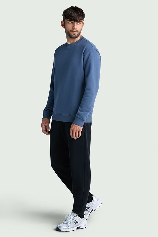 Cotton fleece crewneck sweatshirt 5 | BLUE | Audimas
