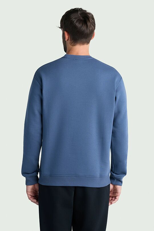 Cotton fleece crewneck sweatshirt 2 | BLUE | Audimas