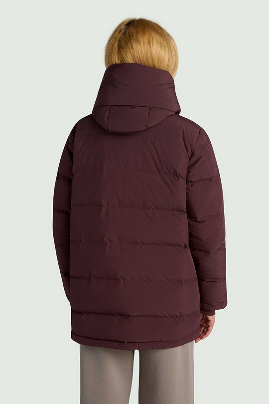 Down jacket with hood 3 | burgundy | Audimas