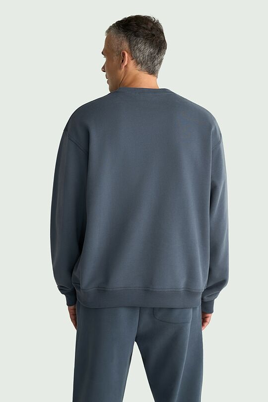 Oversized heavy-weight cotton sweatshirt 2 | GREY | Audimas